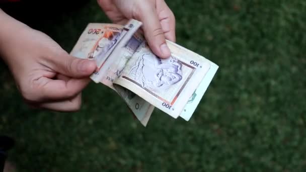Uruguay banknotlarını farklı değerlerde tutan ve sayan bir kadının elleri - Video, Çekim
