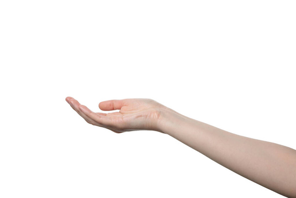 PNG, mão feminina, isolada sobre fundo branco - Foto, Imagem