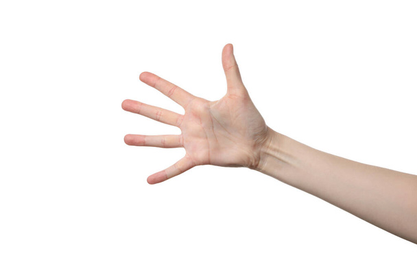 PNG, ženské dlaně, izolované na bílém pozadí - Fotografie, Obrázek