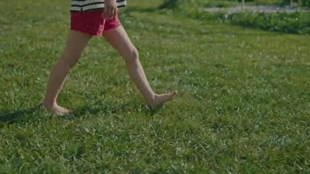 Pieni lapsi kävelee paljain jaloin, varjo nurmikolla. Lähikuva hidastettuna pikkutyttö, kävely puistossa. Onnellisen perheen käsite, lapsuus, unelma, elämä, liike. Ensimmäinen kevät ja kesä - Materiaali, video