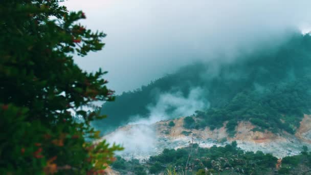 Misty ορεινό τοπίο με αειθαλή φύλλωμα και χαμηλά-κρέμονται σύννεφα πάνω από τραχύ έδαφος κατά τη διάρκεια του πρωινού - Πλάνα, βίντεο