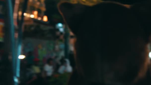 Silueta de la cabeza de una persona contra una borrosa escena nocturna urbana con farolas - Imágenes, Vídeo