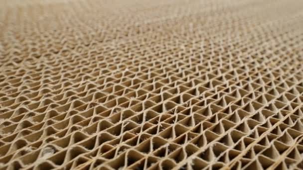 Corrugated cardboard sheets. Stacked cardboards in cross section, close-up. - Footage, Video