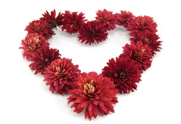 Red flowers in a shape of a heart - 写真・画像