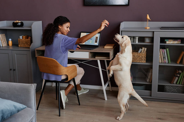 Porträt einer glücklichen schwarzen Frau, die zu Hause mit einem weißen Hund spielt, während sie online arbeitet, Kopierraum - Foto, Bild