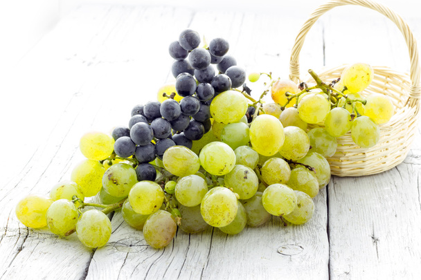 Bunch of grapes - Photo, Image