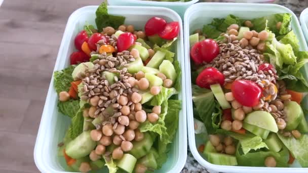 Des contenants remplis de salades vibrantes et nutritives sont alignés sur un comptoir de cuisine, présentant une façon colorée et saine de se préparer pour les jours de semaine occupés.. - Séquence, vidéo