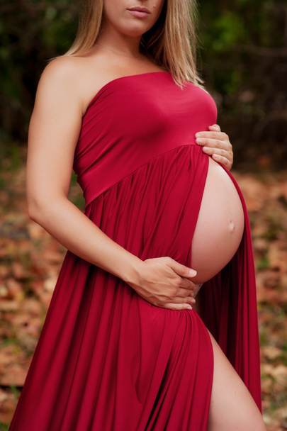 Έγκυος κοιλιά της γυναίκας - Φωτογραφία, εικόνα