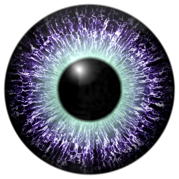 Detalle del ojo con iris de color púrpura y pupila negra
 - Foto, Imagen