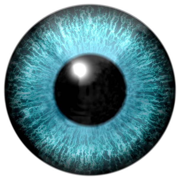 Detalle del ojo con iris de color azul claro y pupila negra
 - Foto, Imagen