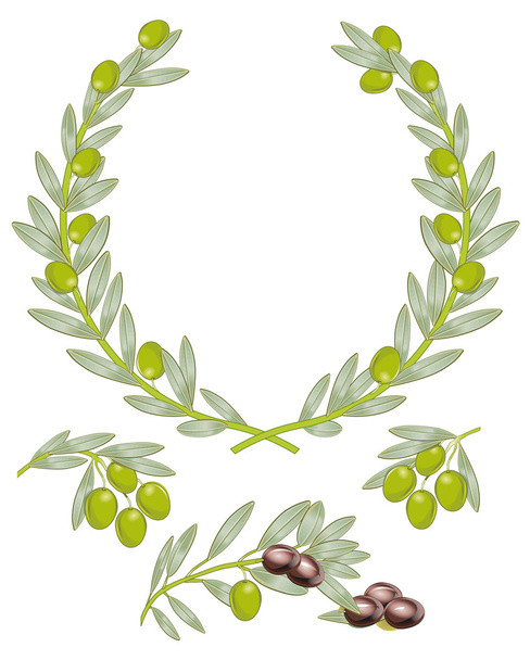Olive branch - Διάνυσμα, εικόνα
