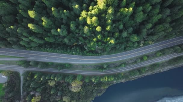 Luftaufnahme der Autobahn inmitten des Verteidigungswaldes des Redwood National and State Parks, Kalifornien, USA. Über Kopf Aufnahme einer wunderschönen Landschaft mit Fluss im Wald. Autos fahren auf der Straße, 4k Filmmaterial  - Filmmaterial, Video