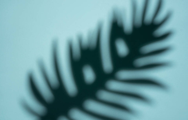 Esta imagen captura la delicada sombra de una hoja tropical proyectada sobre una superficie lisa, azul claro con un efecto de enfoque suave creando una estética abstracta. - Foto, imagen