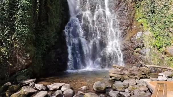 Gyönyörű vízesés a hegyekben nyáron, gyors sikolyok  - Felvétel, videó