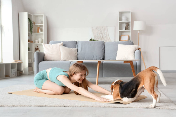 Спортивна молода жінка з собакою Бігль робить йогу вдома - Фото, зображення