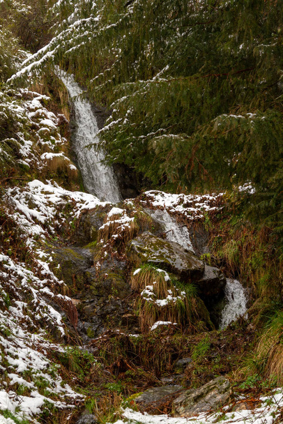 スペインのレン州の美しい雪の町の森の滝,コリナスデルカンパと呼ばれる - 写真・画像