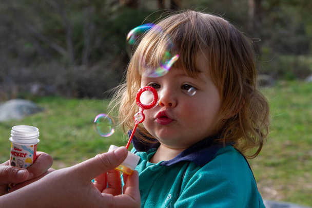 A pretty two-year-old blonde girl plays with blowing soap bubbles on a sunny day - Photo, Image
