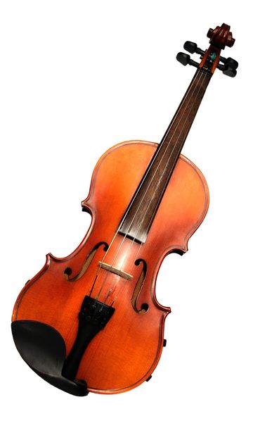 Violin front view isolated on white - Foto, imagen