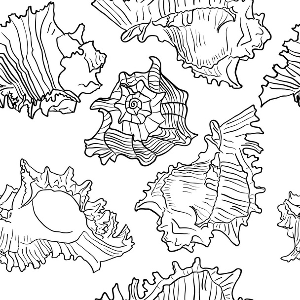 Seamless marine pattern with sea shells. - Vector, Image