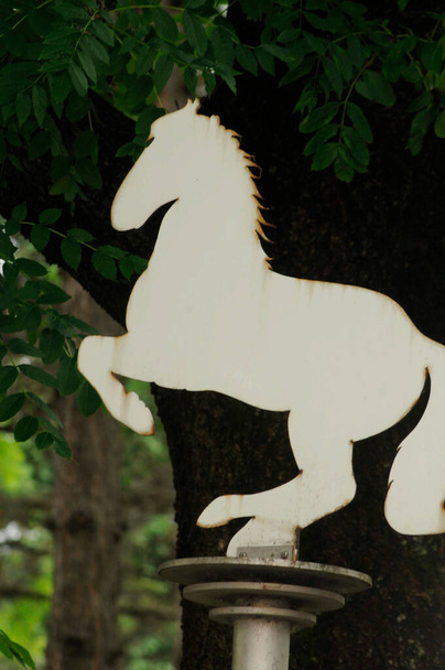 El Lipizzaner un caballo famoso y un icono - Foto, Imagen