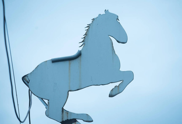 Η Lipizzaner ένα διάσημο άλογο και μια εικόνα - Φωτογραφία, εικόνα