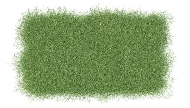 3D vykreslování zelené trávy izolované na bílém pozadí s oříznutou pěšinou. 3D ilustrace zelené trávy. - Fotografie, Obrázek
