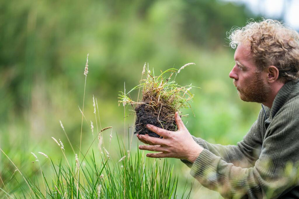 Regenerativer Biobauer, der Bodenproben entnimmt und sich das Pflanzenwachstum auf einem Bauernhof ansieht. Nachhaltige Landwirtschaft praktizieren  - Foto, Bild