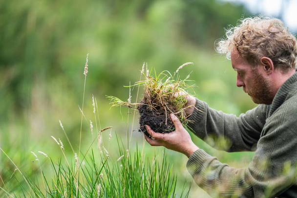 agriculteur recueillant des échantillons de sol dans un tube à essai dans un champ. L'agronome vérifie le carbone du sol et la santé végétale - Photo, image