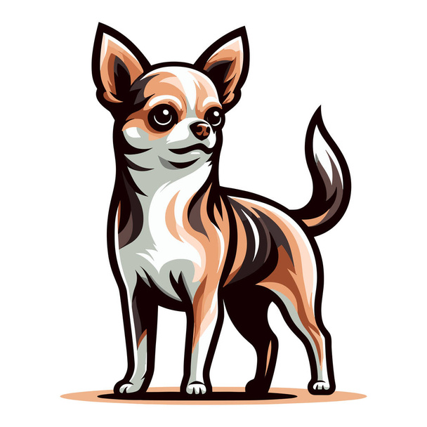 Netter Chihuahua Hund Ganzkörpervektor Illustration, lustig liebenswert Haustier, stehend reinrassige Chihuahua Doggy flache Design-Vorlage isoliert auf weißem Hintergrund - Vektor, Bild