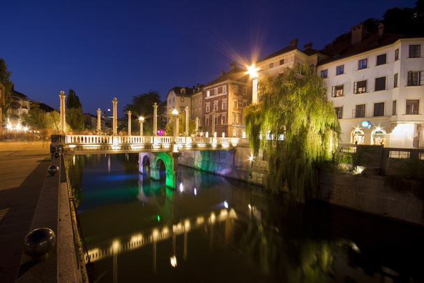 Kengänrakentajien silta ja keskiaikaiset talot Ljubljanassa
 - Valokuva, kuva