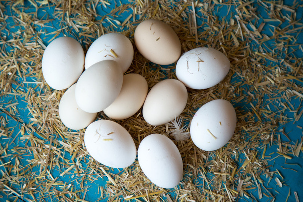 φρέσκα αυγά - Φωτογραφία, εικόνα