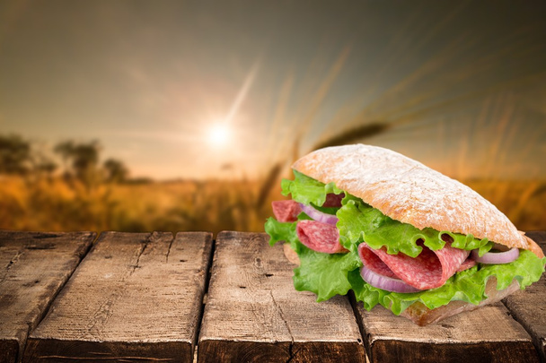 Sandwich. Turkey Sandwich - Fotografie, Obrázek