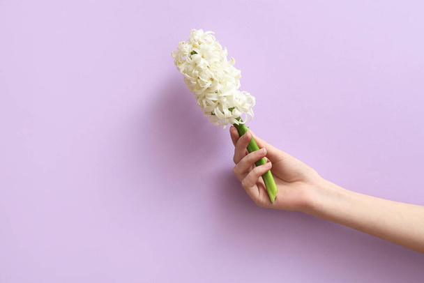 Female hand with white hyacinth flower on lilac background - Photo, Image