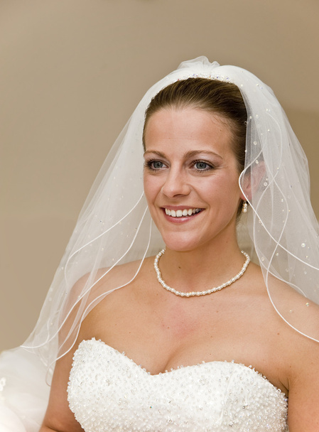 Beautiful young bride formal portrait - Foto, imagen