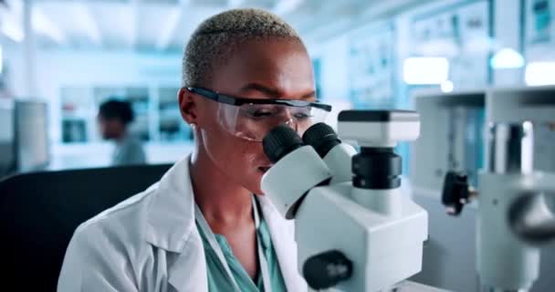 Microscoop, onderzoek en zwarte vrouwelijke wetenschapper in een lab voor medisch, experimenteel of resultaatonderzoek. Wetenschap, gezondheidszorg en Afrikaanse gezondheidsdeskundige met bacteriënstudie, virus- of dna-analyse. - Video