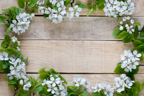 natürliche Holzhintergrund mit weißen Blumen Obstbaum - Foto, Bild