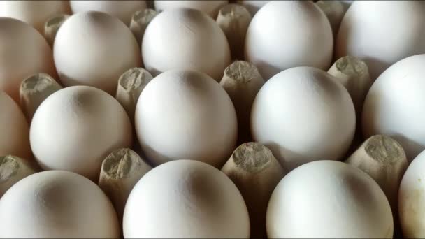 крупним планом вид на білі яйця в коробці. - Кадри, відео