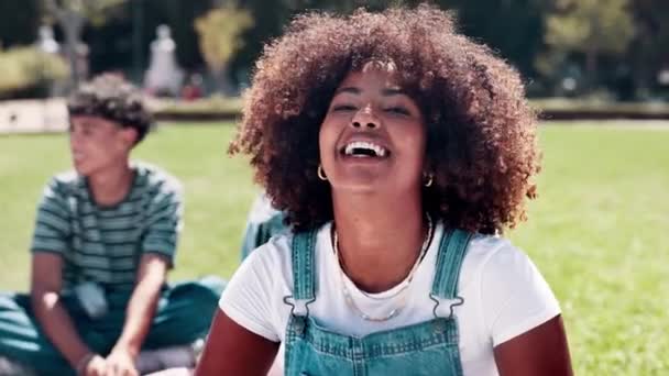Face, picnic and group with black woman, funny and bonding together with social gathering and smile with vacation. Portrait, people or girl on the grass or happiness with weekend break and summer fun. - Footage, Video