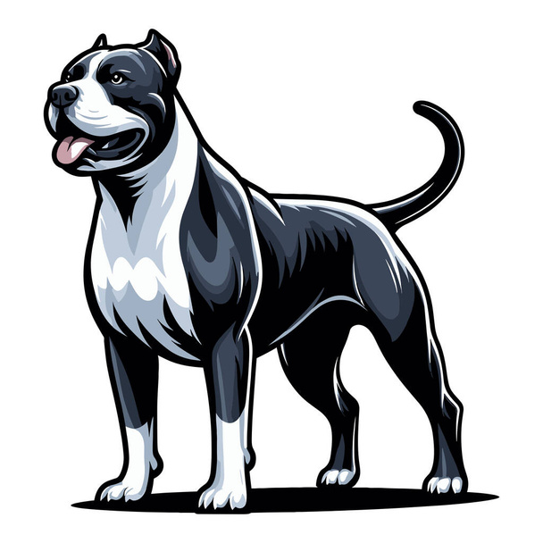 Pitbull bulldog full body design illustratie, Full-length portret van een staande dier huisdier pitbull terrier hond. Vectorsjabloon geïsoleerd op witte achtergrond  - Vector, afbeelding