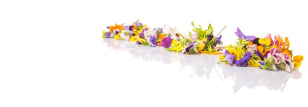 Mélanger la salade de fleurs comestibles sur fond blanc
 - Photo, image