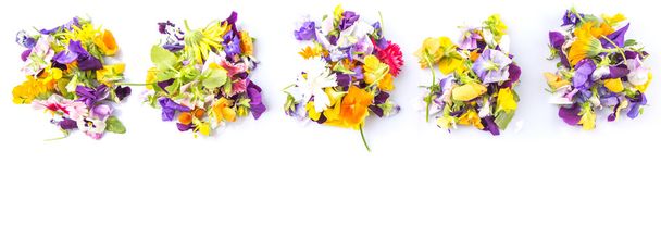 Mescolare insalata di fiori commestibili
 - Foto, immagini
