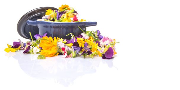 Mélanger la salade de fleurs comestibles dans une casserole bleue sur fond blanc
 - Photo, image