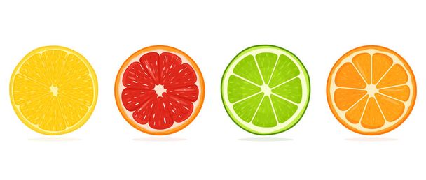 ジューシーな柑橘類のスライスセット. ストックベクトルイラスト。 レモン,オレンジ,グレープフルーツ,ライムアイコン。 白い背景の明るいカラフルな隔離された要素. クリエイティブデザイン,ロゴ,ステッカー - ベクター画像