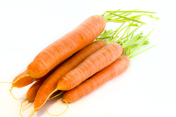 Carrots - Valokuva, kuva