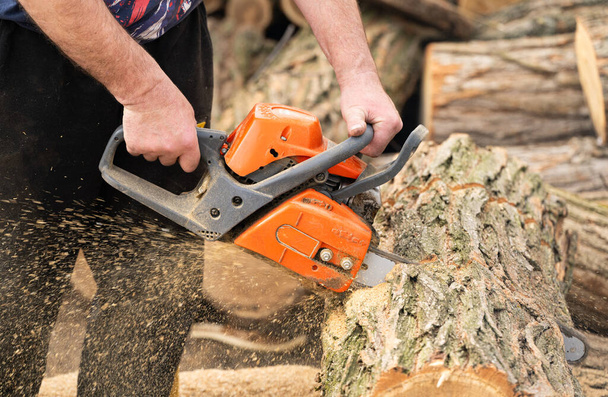 man cutting wood with a saw - Фото, изображение