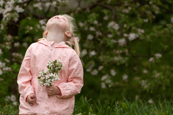 Felice bambina caucasica con due code in giacca rosa in giardino primaverile. Bambino in età prescolare vicino albero dei fiori - Foto, immagini