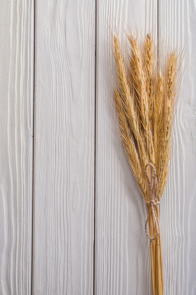 Bunch of wheat ears - Foto, immagini