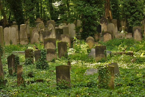 Ідилічному старому кладовищі в Берліні - Фото, зображення