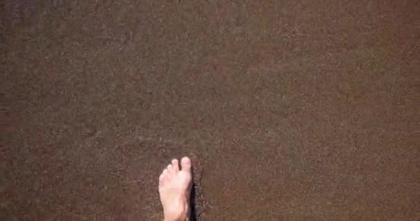 Kilátás férfi lábak séta homokos strandok mosott tiszta tengervíz. Turista séta a tengerparton - Felvétel, videó