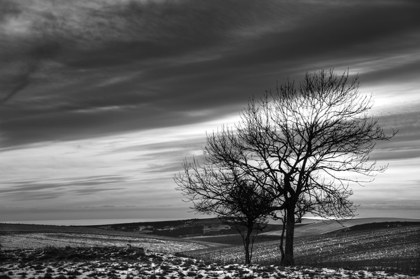 Talvi lumi maisema yli peltojen puita ja hehkuva auringonlasku
 - Valokuva, kuva